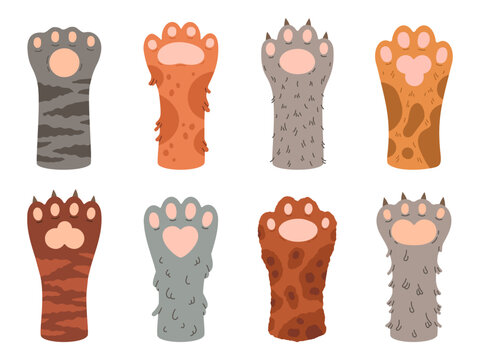 Kitty paws. Cartoon cute cats fluffy paws, fluffy domestic animals feet. Cat paws flat vector illustration set isolated on white background