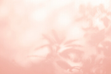 Leaf shadow and light on wall pink background. Nature tropical leaves tree branch and plant shade...