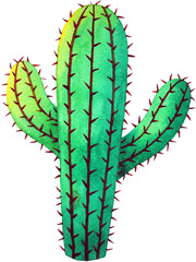green cactus brown thorn succulent tree tropical nature plant fresh desert garden blooming flower art illustration watercolor painting design white isolated background drawing natural summer botanical