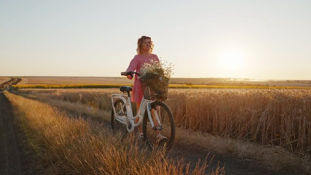 Happy Woman walks through wheat field enjoying with retro bicycle bouquet of field daisies in sunset sunlight in summer. Rest from city life. Reloading people among nature. Go Everywhere. Travel