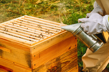 The beekeeper works with beehives in the apiary. Beekeeper's tool. The beekeeper treats the hive...