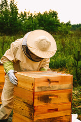 A beekeeper in a protective suit inspects a hive of bees. Eco apiary in nature. Bee wooden house. Production of natural honey. Multi-body hives for bees.