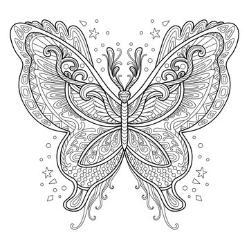 Butterfly adult antistress coloring page vector illustration