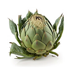 Fototapeta premium Fresh artichoke isolated on white background. Healthy vegan food.