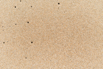 Top view of sandy beach with copy space and visible sand texture.