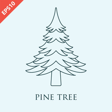 hand drawn pine tree design vector flat isolated illustration