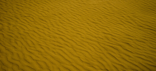 신두리해안사구