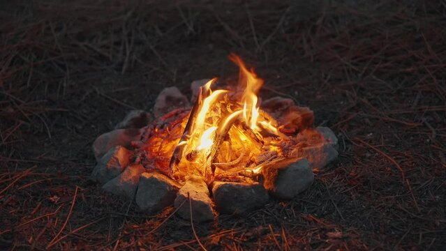 Go Everywhere Burning branches in the fire, tongues of flame. Bright flame of burning bonfire in dark on background of pine forest in evening at sunset day summer. Hiking. Tourism. Travel. Lifestyle