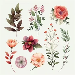 Behang flower collection on white background with margins, watercolor, cartoon pretty, Mother's Day © EnelEva