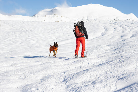 man in winter with snowshoes walking up the mountain with his dog in the snow - Powered by Adobe