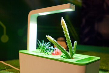 growing plants in a smart hidden form with artificial led lighting. spectrum fitolampy for...