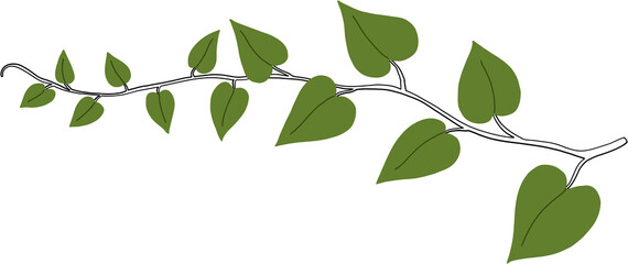 Simplicity ivy freehand drawing
