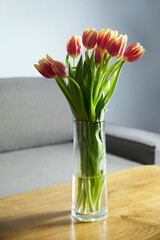Bouquet of beautiful tulip flowers on table in living room