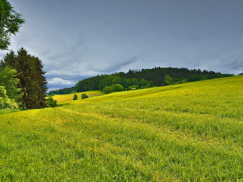 Blick über Felder und Wiesen umsäumt von Bäumen und dramatischen Wolken in Bayern