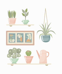 House plant vector illustration