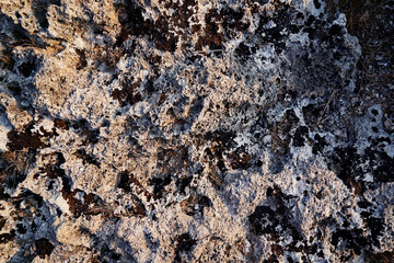 Grey rock stone textured background.