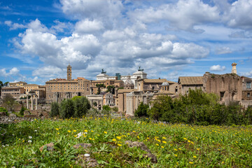 Fototapeta na wymiar The Roman Forum in Rome