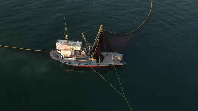 Aerial View of Fishing Ship and Net in Circle Shape, Collecting Fish From sea. Traditional Salmon Fishing in Izmir Turkey, Drone Shot. High quality 4k footage