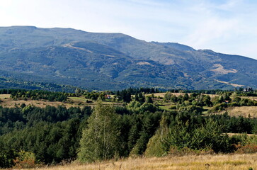 Obraz premium Scene with autumn meadow, forest and residential district of the Bulgarian village of Plana in the Plana mountain with the Vitosha mountain in the background, Bulgaria 