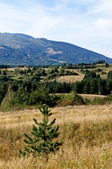 Obraz premium Scene with autumn meadow, forest and residential district of the Bulgarian village of Plana in the Plana mountain with the Vitosha mountain in the background, Bulgaria 