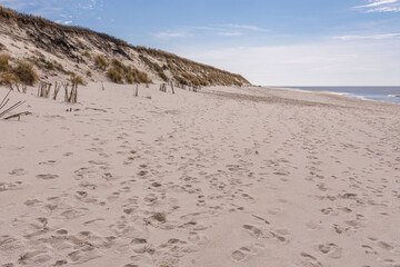 Sylt - Sand und Dünnen mit blauen Himmel