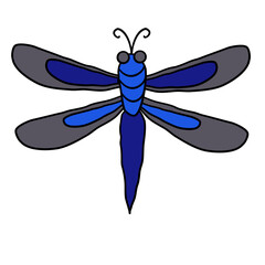 cute flying dragonfly animal garden