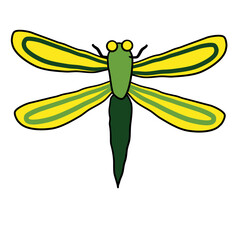 cute flying dragonfly animal garden