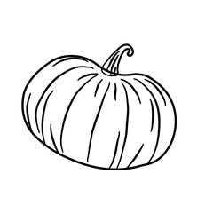 pumpkin vegetarian line illustration