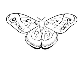 Children's coloring book, which depicts insects in a realistic way