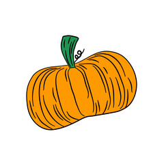 summer squash pumpkin vegetarian