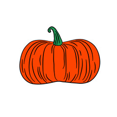 summer squash pumpkin vegetarian 