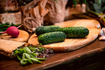 Beautiful, fresh cucumbers, radishes, garlic, celery, rhubarb, thyme, mint, sorrel, dill, oregano on a board. Still life on a table of vegetables, herbs and spices. The vegetable garden 