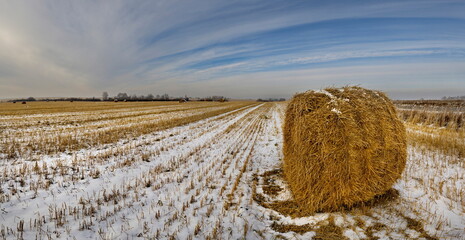 Russia. South of Western Siberia. Kuzbass. Rolls of fresh hay left by farmers on a snowy field on a...