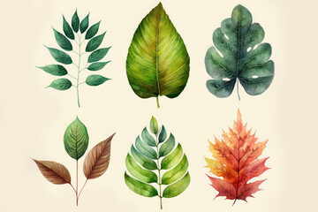 assorted leaves. Collection of multicolored leaves on white background. Top view. Ai generative