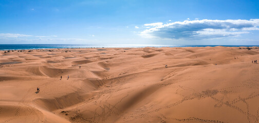 Empty Quarter Desert Dunes at Liwa, Abu Dhabi, United Arab Emirates
