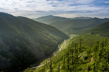 top view on field, trees and river