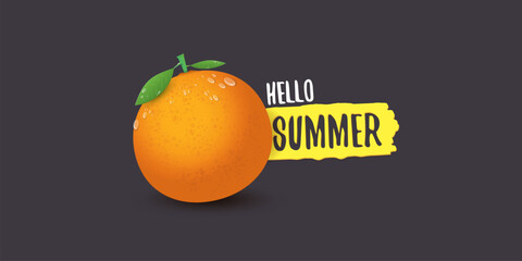 Vector Hello Summer horizontal banner or flyer Design template with fresh orange fruit isolated on grey background. Hello summer concept label or poster with fruit and letternig text.