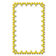 frames in vintage style with elements of ornament, art, pattern, background, texture