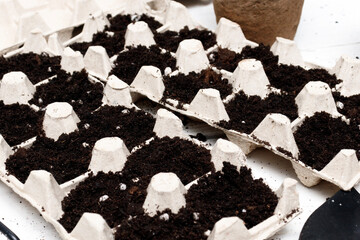 The concept of reuse and recycling, ecological farming, Soil prepared for sowing seeds in ecological trays.