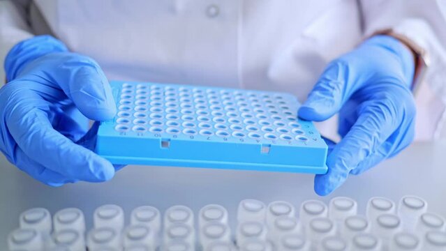 Lab worker holds blue 96-well plate with precision. Showcases attention to detail and accuracy in laboratory. Ideal for scientific, medical, research content, lab equipment ads. High definition image