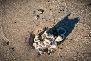 Dezembersparziergang auf Wangerooge