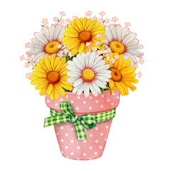 Watercolor spring flower pot of colorful daisies