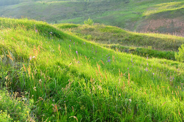 green valley with rolling hills with sunset light isolated