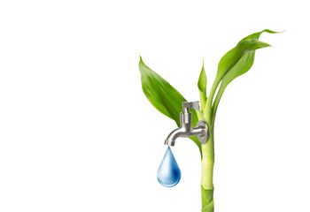Water tab on green small tree on white background, Save water save world nature day concept