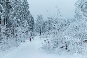 Schöne Winterlandschaft auf den Höhen des Thüringer Waldes bei Oberhof - Thüringen - Deutschland