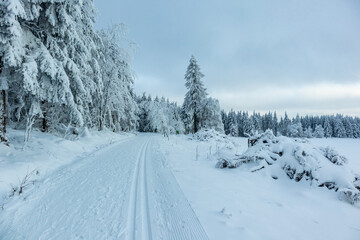 Obraz premium Schöne Winterlandschaft auf den Höhen des Thüringer Waldes bei Oberhof - Thüringen - Deutschland