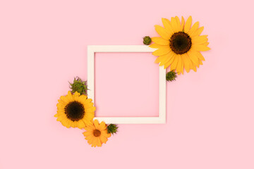 Square frame made of sunflowers and arnica flowers on a pink background.