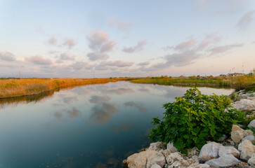 autumn landscape with lake