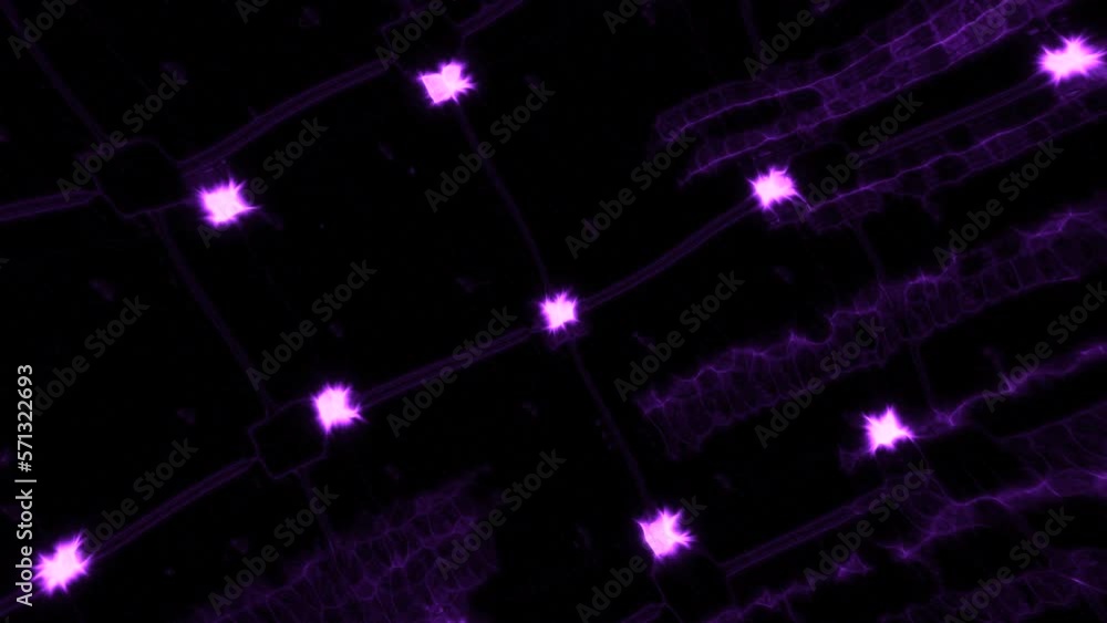 Poster Black background with illuminated lights. Motion. Small burning stars in animation that slowly rotate.