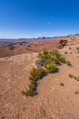 hiking the murphy trail loop in the island in the sky in canyonlands national park, usa